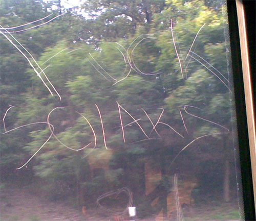 Fuck Solaris, Bus Wannsee, Foto: RH